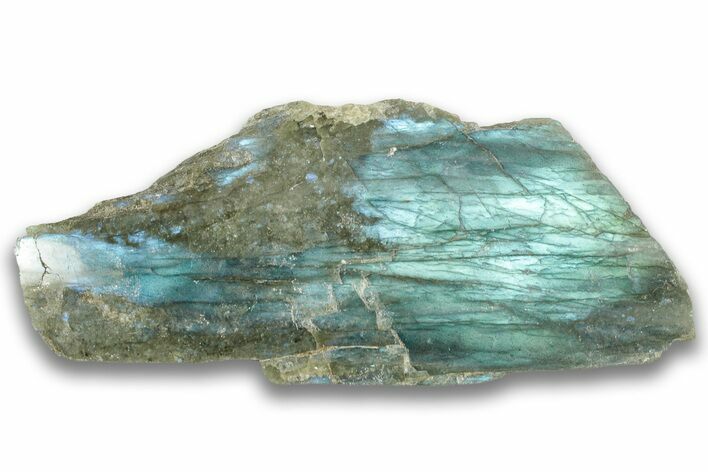 Single Side Polished Labradorite Section - Madagascar #324654